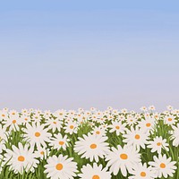 Daisy flower field background, minimal spring design