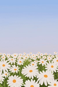 Aesthetic landscape background, colorful Daisy flower field design