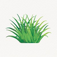 Grass clipart, aesthetic nature design psd