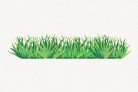 Grass clipart, aesthetic nature design psd