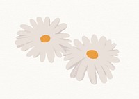 Daisy flower clipart, aesthetic flower design vector