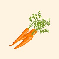 Carrot collage element, realistic illustration, healthy vegetable psd