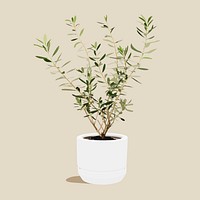 Olive tree plant collage element, vector illustration