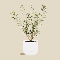 Olive tree plant collage element, botanical illustration psd