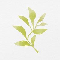 Green leaf watercolor illustration clipart