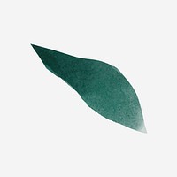 Green leaf collage element, botanical watercolor illustration vector