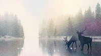 Aesthetic nature HD wallpaper, stag animal silhouette background