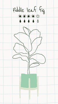 Watering chart psd template for fiddle leaf fig