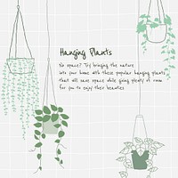 Hanging plant introduction to new plant parent psd template