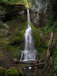 Marymere Falls, a waterfall deep in Olympic National Park, southwest of Port Angeles on Washington State's Olympic Peninsula.  Here, Falls Creek descends from Aurora Ridge and tumbles over the 90-foot-high falls and then flows into Barnes Creek.