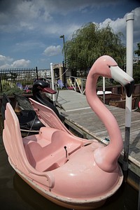 Paddle boat rides on Lake Wesley in the heart of Asbury Park, New Jersey