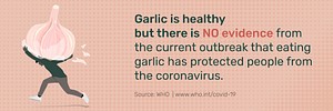 Garlic does not protect people from the coronavirus awareness message template source WHO vector