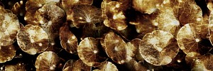 Sparkling golden pennyworth background design resource