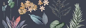 Flowers and plant wallpaper website banner template