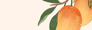 Hand drawn mango social template illustration 
