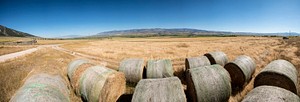Panorama from hay bales next to the water canal above P&J Ranches where Producer Steve Burke (black baseball cap) and other landowners use water from the Ruby Reservoir at the base of the Ruby Mountains where water flows along the West Bench Canal, just above the mountain base, above the farmlands; along the way, improved U.S. Department of Agriculture (USDA) funded control valves allow water through debris grates and additional (self-cleaning) rotating cylindrical algae filter screens before entering inlets to funded Irrigation Water Management systems and into the (gravity-flow) Irrigation Pipeline that supplies five center-pivot and one wheel-line Sprinkler System without the use of pumps in Sheridan, MT, on August 28, 2019.