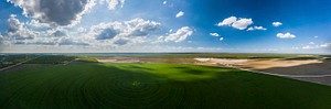 Aerial panorama view from above a sesame field of the Ernie Schirmer Farms cotton harvest that has family, fellow farmers, and workers banding together for the long days of work, in Batesville, TX, on August 23, 2020.