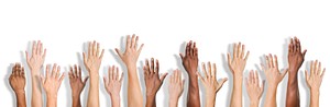 Diverse group of raised hands 