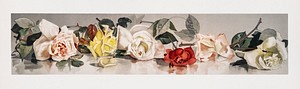 Christmas Roses (1865&ndash;1899) by <a href="https://www.rawpixel.com/search/l.%20prang?sort=curated&amp;type=all&amp;page=1">L. Prang &amp; Co</a>. Original from The New York Public Library. Digitally enhanced by rawpixel.
