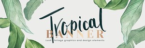 Hand drawn tropical leaves banner on a white background