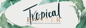 Hand drawn tropical leaves banner on a white background