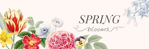 Floral spring blooms banner vector