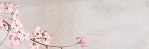 Pink cherry blossom flower branch border frame on white marble background banner