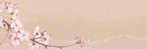 Pink cherry blossom flower branch border frame on peach background banner