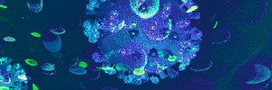 Blue infectious coronavirus outbreak social banner