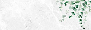 Hand drawn eucalyptus leaf on white marble background banner vector
