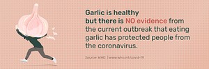 Garlic does not protect people from the coronavirus awareness message template source WHO