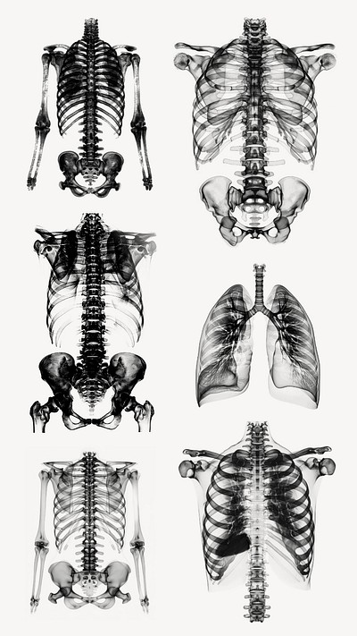 Editable human body x ray design element set