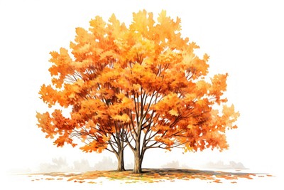 Illustration of autumn trees art painting bonfire.