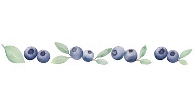 Blueberries as divider watercolor blueberry produce fruit.