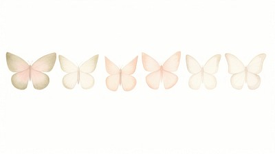 Butterflies as divider watercolor accessories accessory blossom.