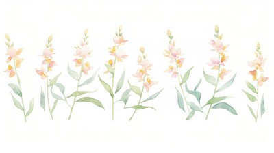 Orchids as divider watercolor blossom pattern flower.