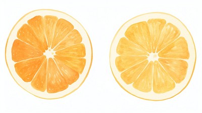 Orange as divider watercolor grapefruit produce plant.