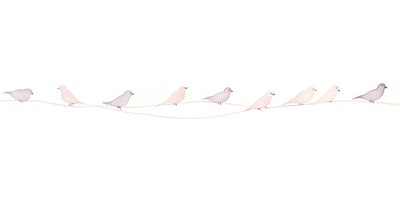 Birds as divider watercolor animal pigeon flock.