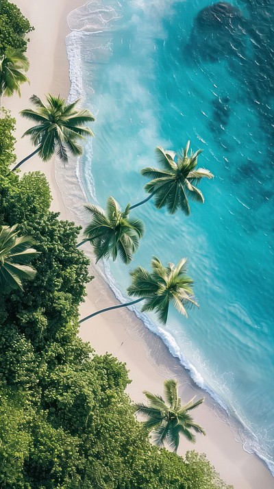 Beach wallpaper background nature vegetation | Premium Photo - rawpixel