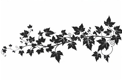 Ivy vine graphics silhouette pattern.