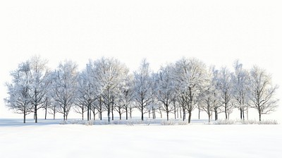 Snow-covered trees in winter