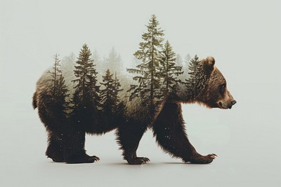 Bear forest double exposure art