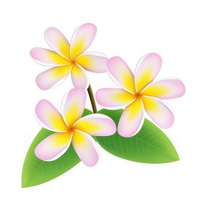 Tropical vibrant plumeria flowers illustration