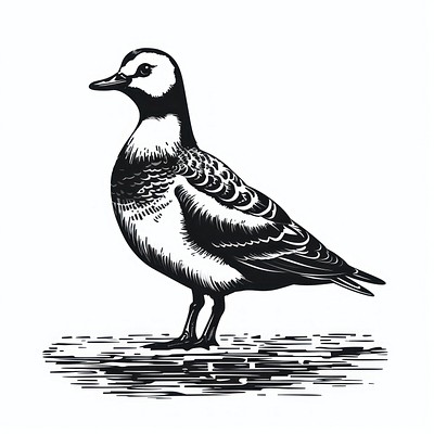 Vintage bird illustration, detailed, monochrome.