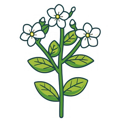 Simple white flower illustration