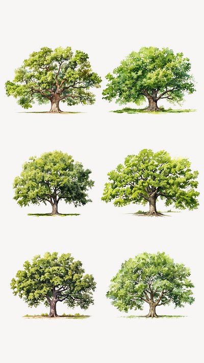 Watercolor tree element set