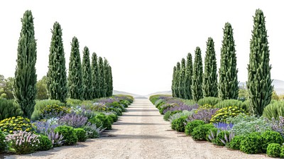 Serene garden pathway with trees