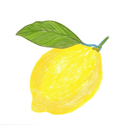 Bright yellow lemon illustration