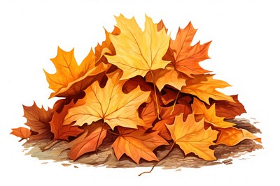 Autumn leaves pile illustration