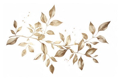 Elegant botanical leaf illustration